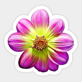Dahlia Collarette Floral Painted Style Pattern Sticker